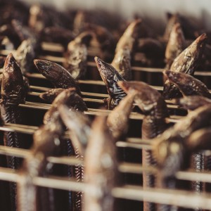 Loof-Fischräucherei am Husumer Hafen